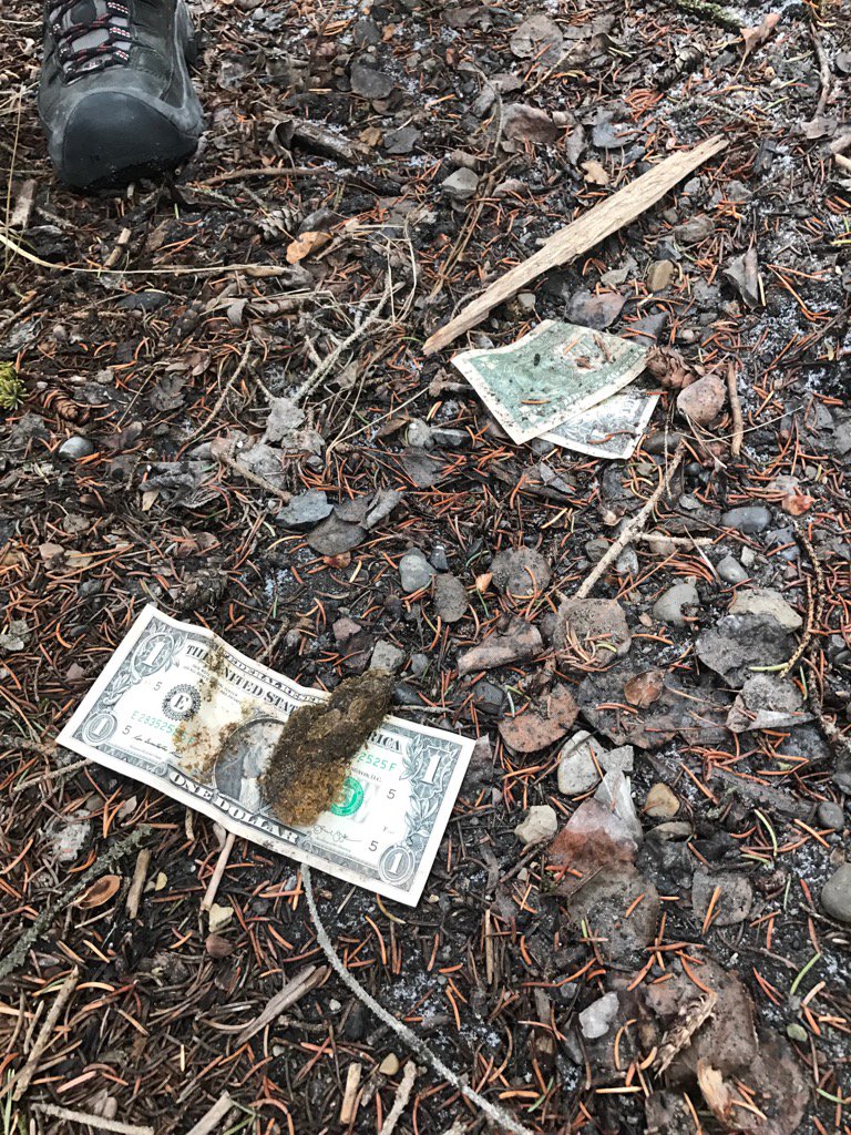 TheDerekSeguin's tweet photo. Even the wildlife in Banff think less of America these. (This is real. I did not do it.) #animalsagainsttrump https://t.co/La5fZFRx6c