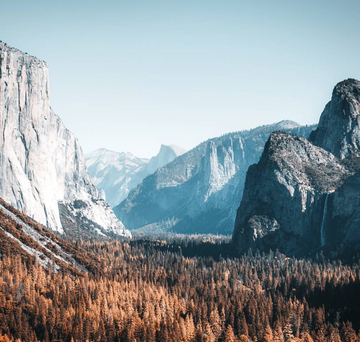coffee_n_mtns's tweet photo. Yosemite National Park https://t.co/X8MO9kCWDd