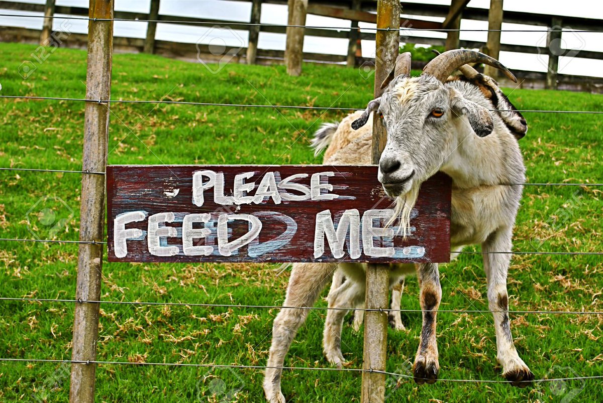 BrettWillEat's tweet image. A not yet complete line up, for tasters. Enjoy.