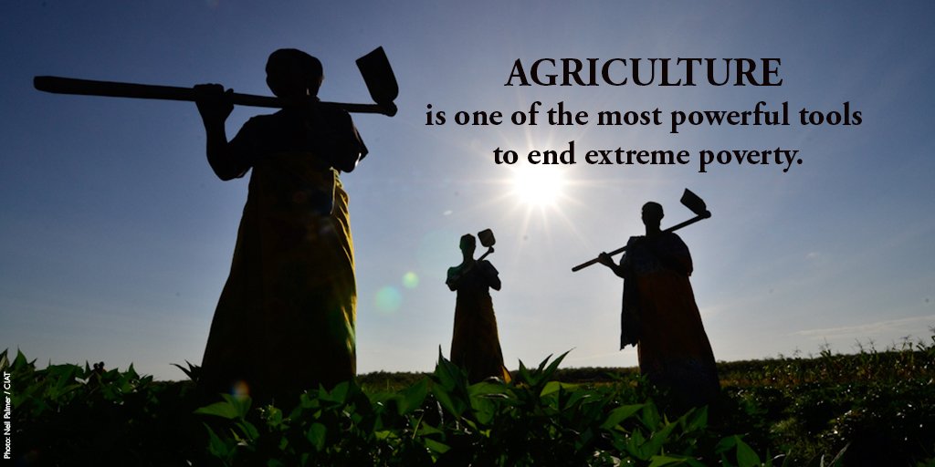 Investing in agriculture is one of most effective ways to reduce hunger &amp; end poverty. Follow us to learn more.