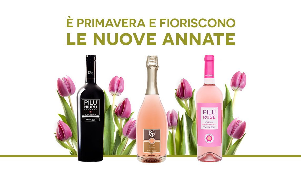 taurosso's tweet photo. Fioriscono le nuove annate... cercale su nostro https://t.co/BRxe7xWkeF #piluniuru #rosépilú #pilúrosé #taurossovini https://t.co/yFPW9xJCtm