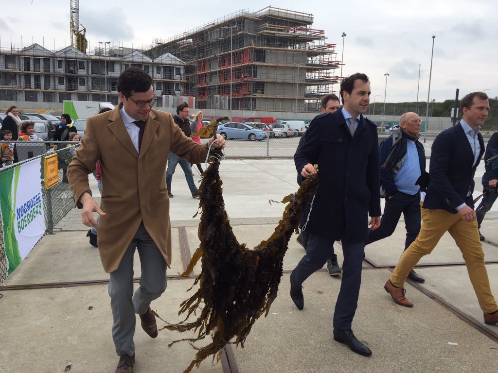 karstenklein's tweet photo. Samen met staatssecretaris Martijn van Dam van EZ de eerste oogst van de Schevemingse zeewier aan land gehaald. #innoport #scheveningen https://t.co/ZbDaALHSlv