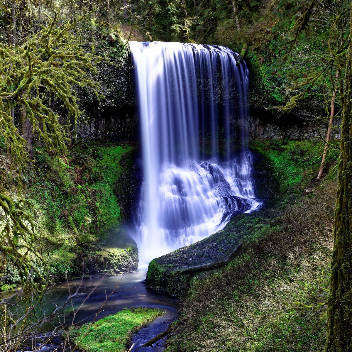 OregonOnLocPics's tweet photo. Gorgeous scenery at Silver Falls State Park, Oregon. https://t.co/YrdVJhLIvc