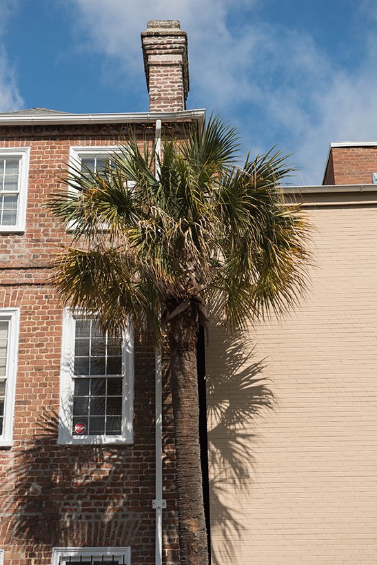 MooreandGiles's tweet photo. Check out our latest #ShowOnTheRoadMG #blog featuring our #Charleston, SC #leather showroom, @FritzPorterCHS:
https://t.co/MpEDM7miXm https://t.co/Ma6SL4Qcfx