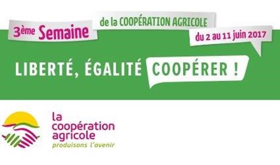 BenPerdreau's tweet photo. Enquête @CoopdeFrance sur outils #RSE #programme3D, #reporting, #achatsresponsables. Merci pour votre participation https://t.co/rF7MALAsKH https://t.co/gsYODxdDBY