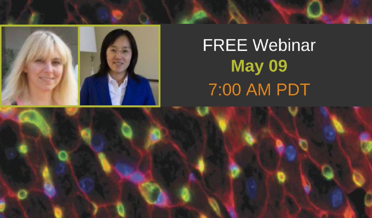 HealthandMed_LR's tweet image. Identify methods for #multiparametric analysis &amp;amp; ranking of compounds for potential #cardiotoxic hazards buff.ly/2oESBdT