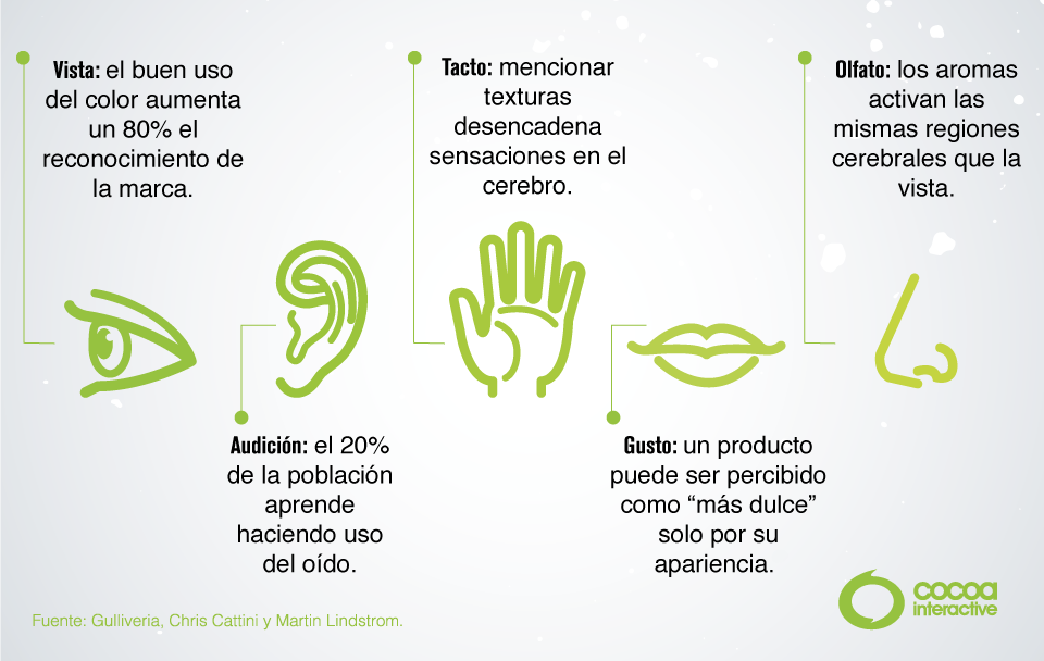 CocoaInteractiv's tweet photo. Con el #Neuromarketing podés aprovechar los 5 sentidos de tu consumidor y conseguir mejores resultados para tu marca. Mirá estos #CocoaTips: https://t.co/c1kZtiW1xI