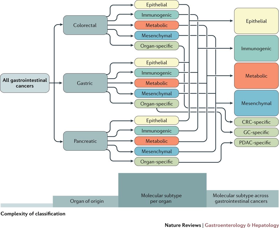 Book Nanotechnologies For Environmental Remediation Applications