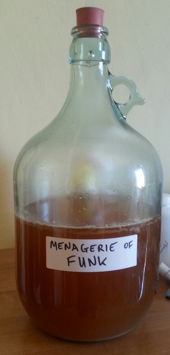 This blend contains at least 20 strains of brett, dregs from lambic, natural wines &amp; sourdough. QC test on a homebrew lambic fermenting now.