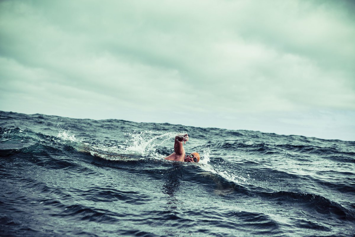 JimHughesPhoto's tweet photo. Swimming through the rough Farallon Island waters. To see more images from my Sports portfolio visit: https://t.co/0aJuxwEzjb https://t.co/DRdXVFVqYx