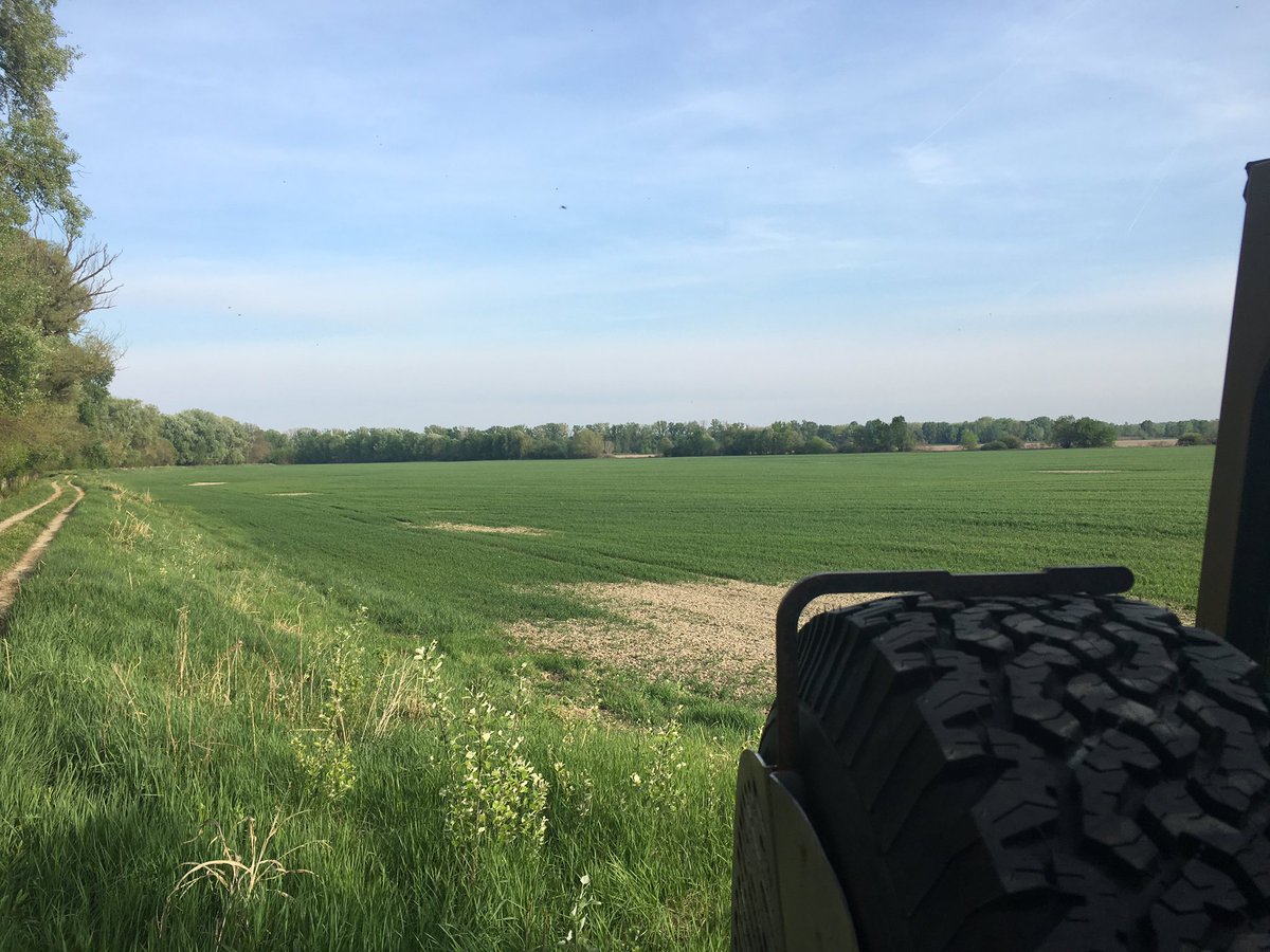 GeroldSchlegel's tweet photo. #Ingwerer dabei. Abend Apero Ritual bei Ankunft. Bevor Einrichten und Camp bereitstellen. Viel gfreuts aus dem sonnigen Ungarn https://t.co/w5G4I2LUXb