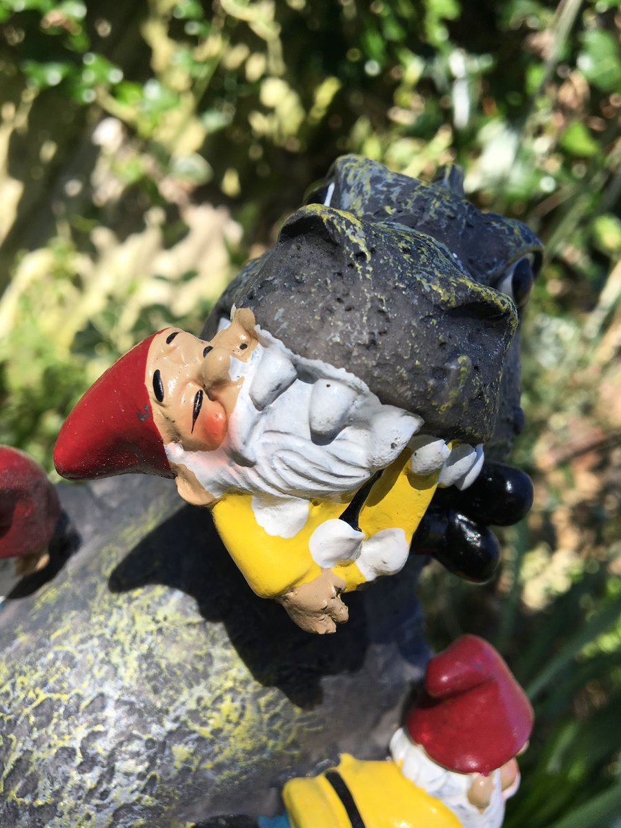 Wild_NatureSite's tweet photo. I mean, #Gnomezilla is a ruthless one isn't he? https://t.co/PTaTHj0zza