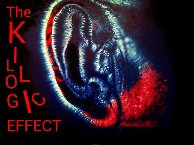 KillogicFilth's tweet photo. #Tunein @ 12:00 pm est #MUSICLOVER
#nowplaying #awesome #indiemusic
On The KILOOGIC EFFECT @granitecoastent
https://t.co/QMsE7N9fCa https://t.co/1CeRqN8Z3t