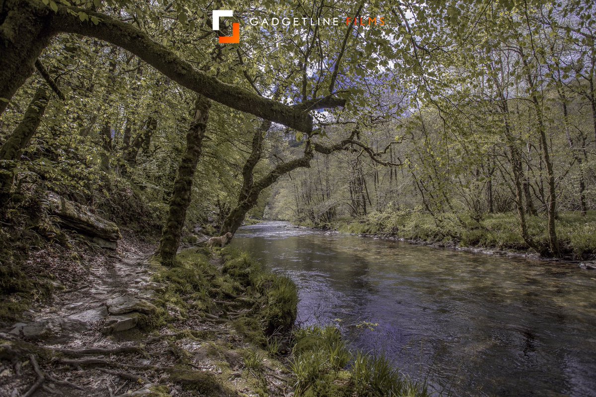 #doggy wants to go swimming. This one is taken on #exmoor at #tarrsteps. #landscapephotography #landscape #view #gooutside #photography #pod