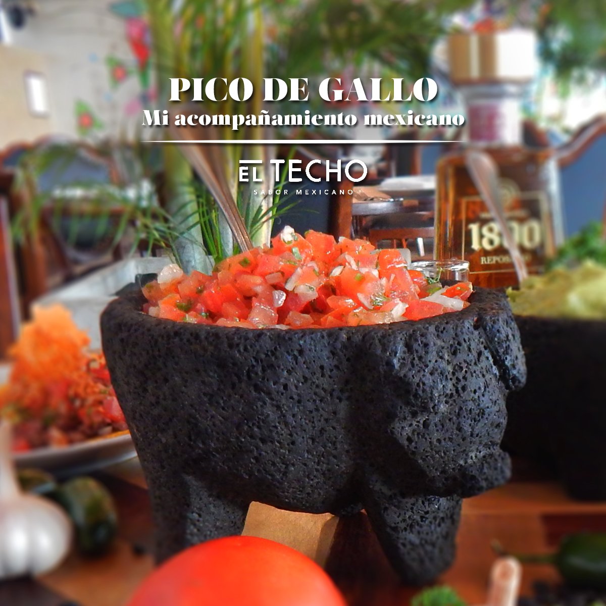 Somos la salsa de tus tacos #PicoDeGallo