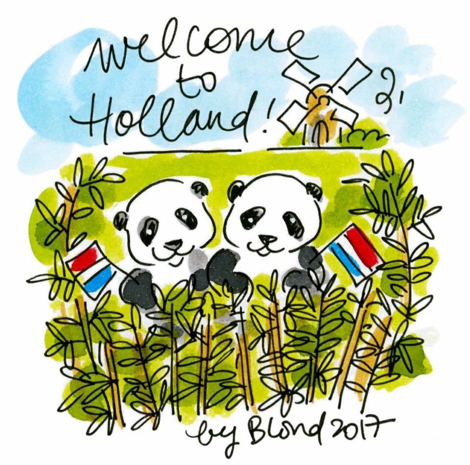 FiusvanLaar's tweet photo. @Regio_FV_Brux https://t.co/igUfKQpbgQ