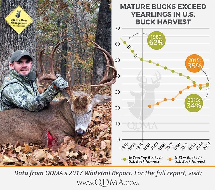 deerassociation's tweet photo. For the 2nd year in a row, U.S. hunters took more 3.5-year-old and older bucks than yearlings. #WhitetailReport
https://t.co/DJ8v76NOVM https://t.co/5qfYo2bkoW