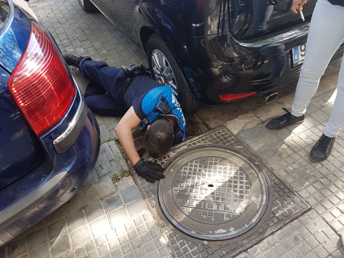 PoliciaAlcorcon's tweet photo. Rescatamos este gatito de alcantarilla c/ Retablo #Alcorcón y lo llevamos al @CipaAlcorcon. Le hemos llamado Bravo, como el equipo de polis. https://t.co/AAJu3afQdA