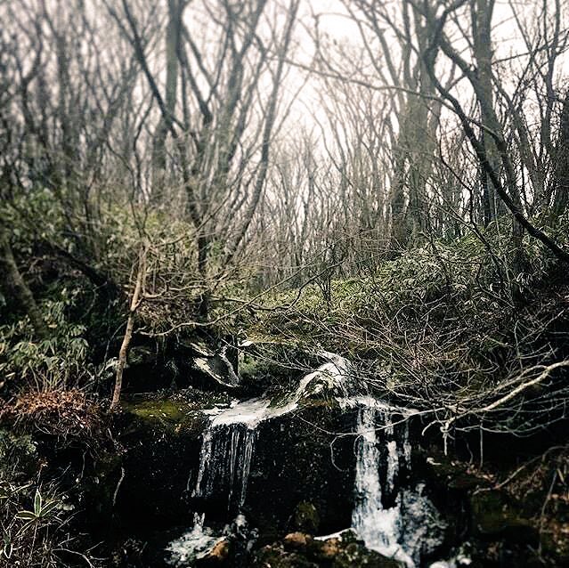 undefinedfpr's tweet image. —&amp;gt; My angel, my light, my everything.