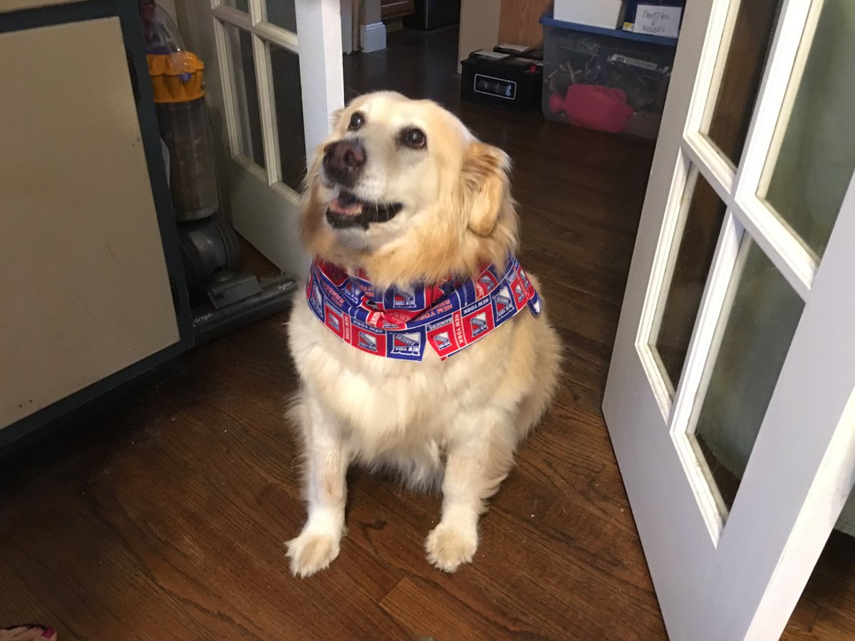 therod730's tweet photo. Eden is ready for #NYR Playoffs!!! LETS GO RANGERS!!!! #Blueshirts #NYRuff  🔴🔵⚪️ https://t.co/4YmwPUFQVW