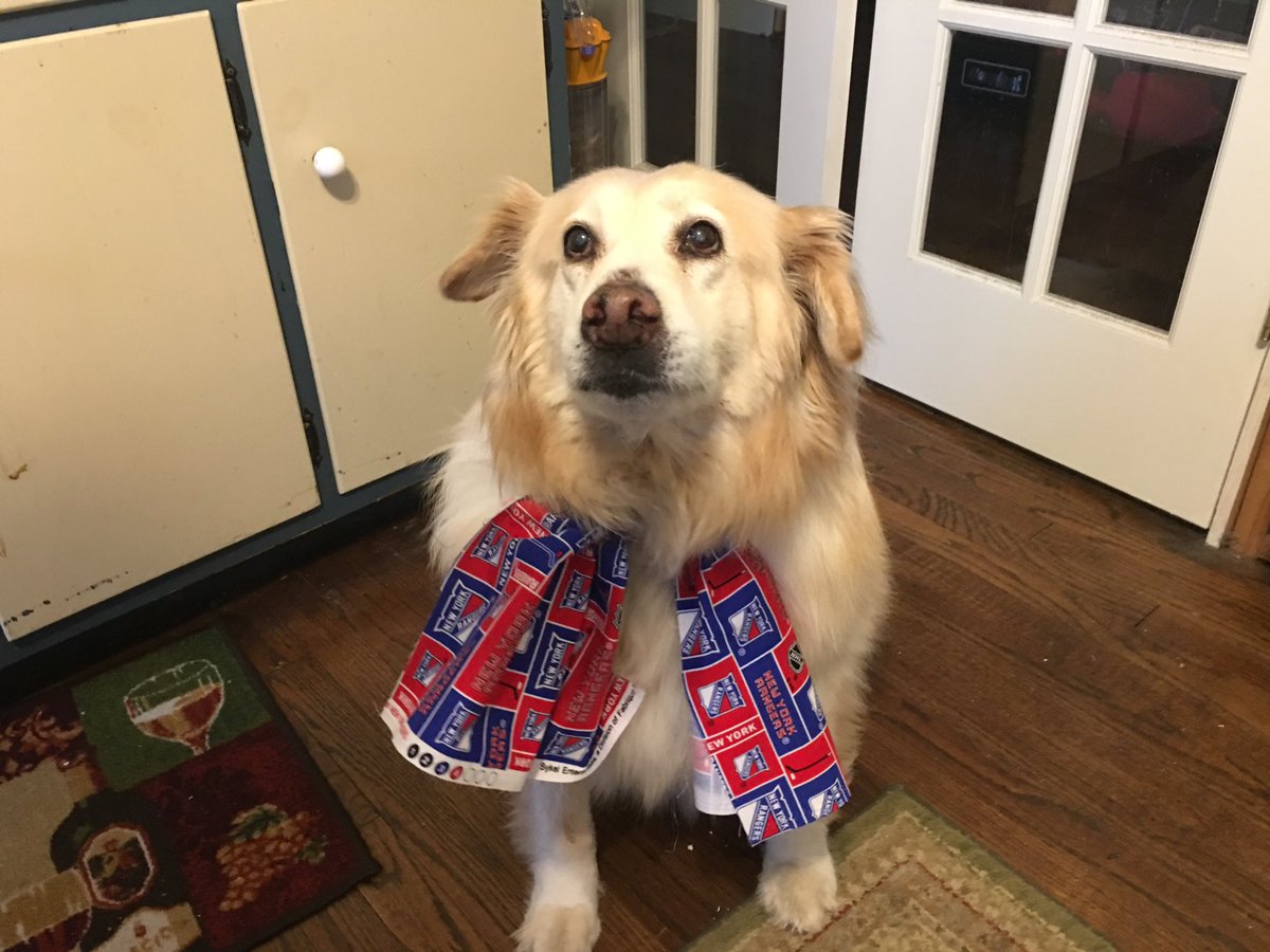 therod730's tweet photo. Eden is ready for #NYR Playoffs!!! LETS GO RANGERS!!!! #Blueshirts #NYRuff  🔴🔵⚪️ https://t.co/4YmwPUFQVW