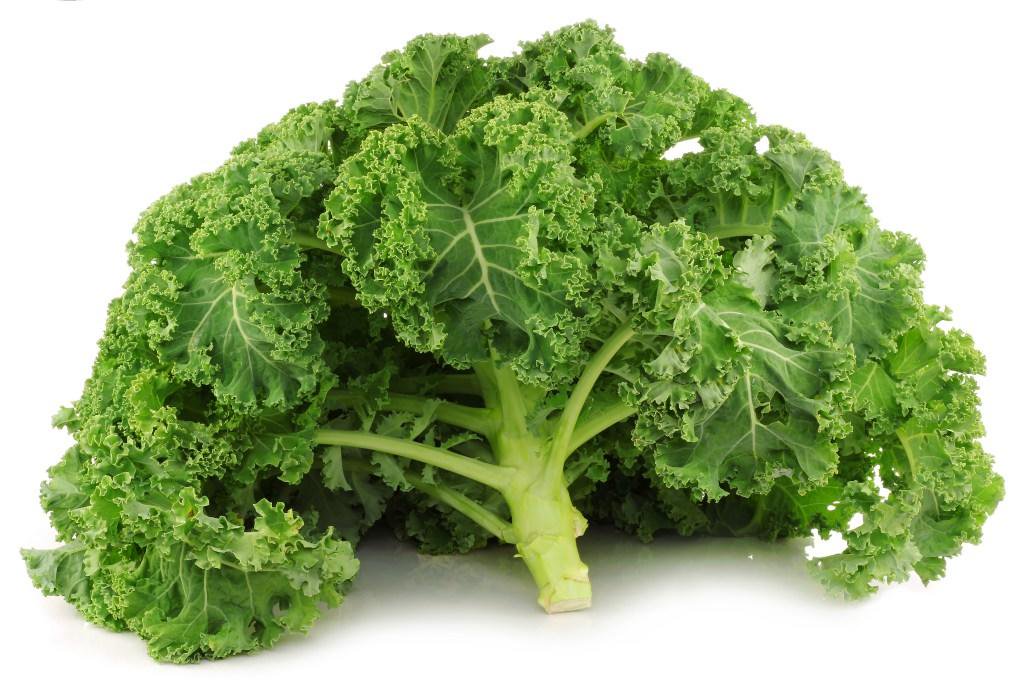 HelloFresh's tweet photo. #HelloFreshFact: Kale is the hardiest leafy greens. Give it a massage to break up some of the fiber https://t.co/SwQrP6UNau #WednesdayWisdom https://t.co/CcOFlC72q0