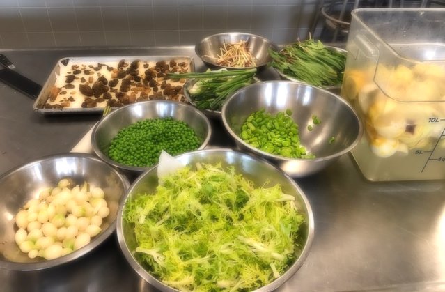 DrexelFHM's tweet photo. It's spring in the Academic Bistro #DrexelHSM https://t.co/1AyXqQ4Auj