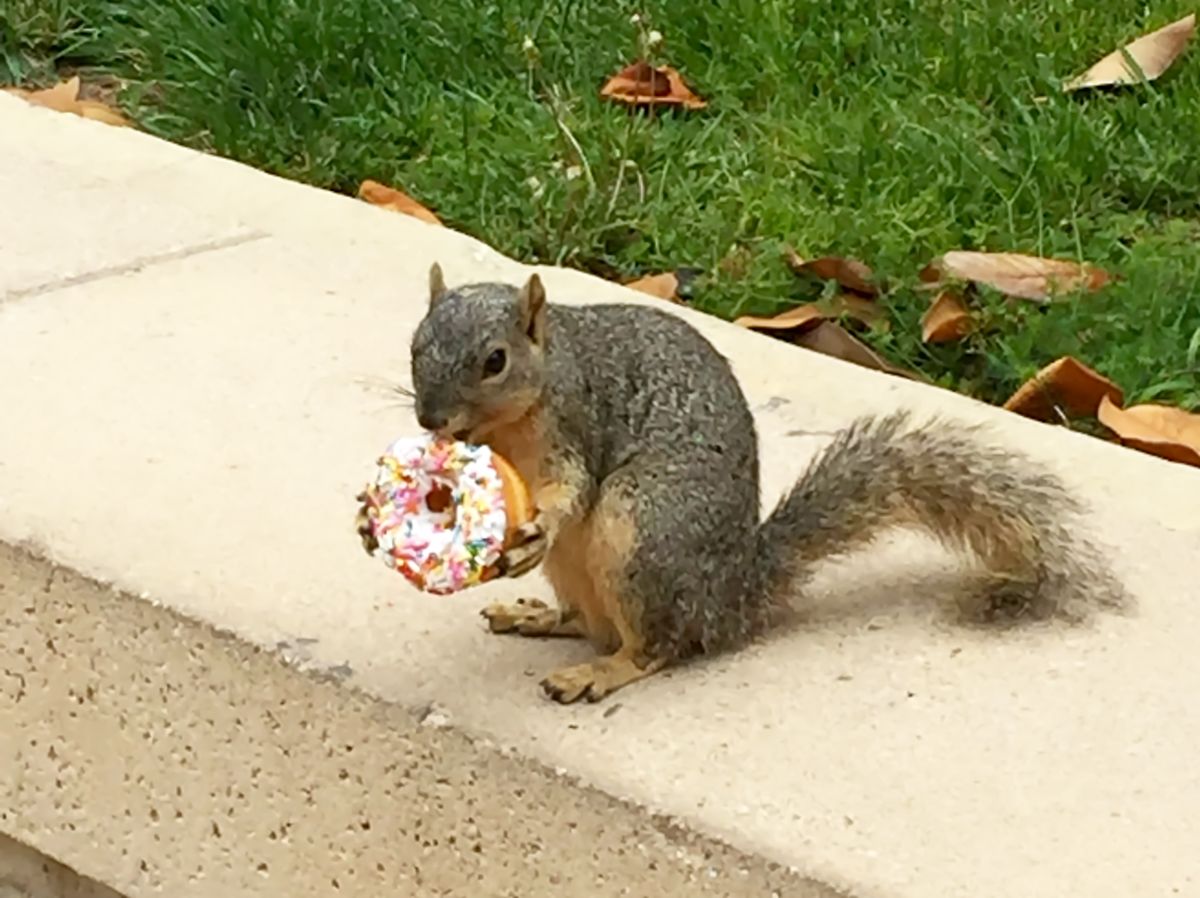 UCLAUpdates's tweet photo. Then there's 11 non-obvious reasons to choose UCLA https://t.co/KFVwU2BWmw
#UCLAbound https://t.co/V2Qo9iIDpS