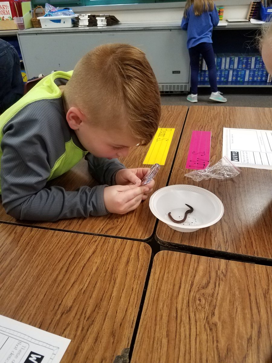 KauffmanSES's tweet photo. We had fun today getting to see some real worms up close and personal! #handsonlearning #wormsaregross #LPSelma https://t.co/kqHxcVgh3T