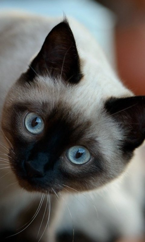 #TMRUBA👑 
<a href="/dilruba_lees/">Dee_UK🇬🇧🇺🇦</a>
<a href="/DilrubaLees/">dilruba_lees</a>
<a href="/BrettCateley/">ifb</a> 
<a href="/vuhtans/">Rumeli Tekfuru</a>
<a href="/CharsWings/">CharsWings</a>
@oce2005
<a href="/Shu_la75/">sHuLa</a>
<a href="/Jilliemary/">Jillian Peeling</a> 
@aliciagarciaga6