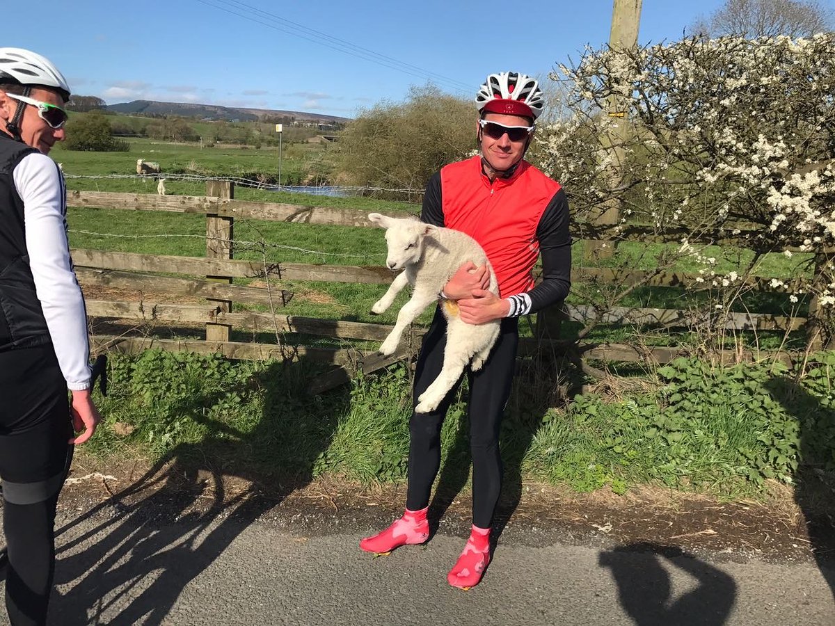 jonny_brownlee's tweet photo. Looking after the countryside on our ride today. Putting escaped lambs back where they belong https://t.co/UXJUrcIns3