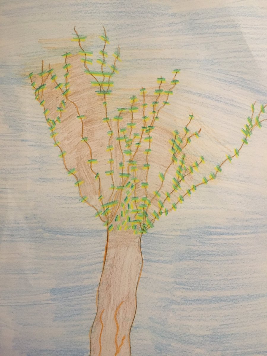 MrsSwag_RPA's tweet photo. Drawing trees and learning #coloredpencil techniques in #middleschoolart @WeAreOneRPA https://t.co/Ey0BRXB2nz