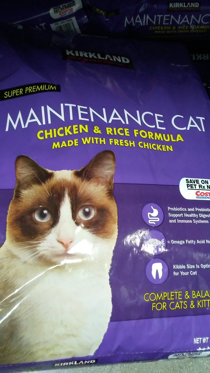 TohavRedborne's tweet photo. Maintenance Cat, the more successful brother of Grumpy Cat #grumpycat #maintenancecat #costco https://t.co/mgG6nGQGva