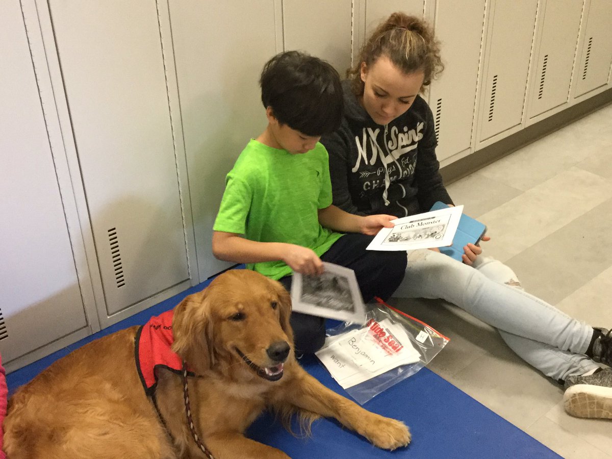 jengargolden's tweet photo. Successfully engaged in reading with a Therapy Dog at Valour School. #RCDSBReads @ValourSchool @TherapeuticPaws https://t.co/pPMfveCuK9