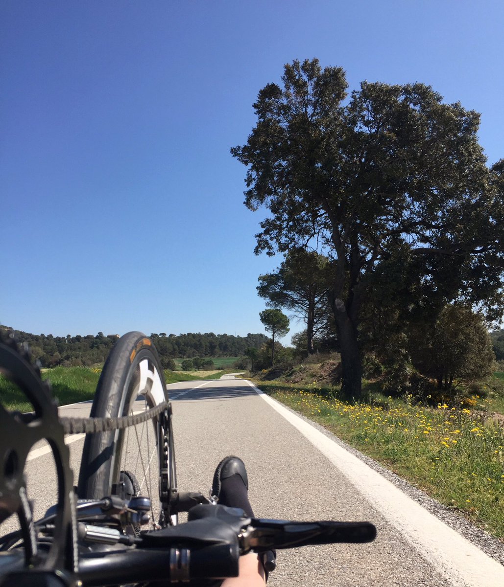 fransola87's tweet photo. Back to the office, sorry for the delay! https://t.co/TZeKJclpsV