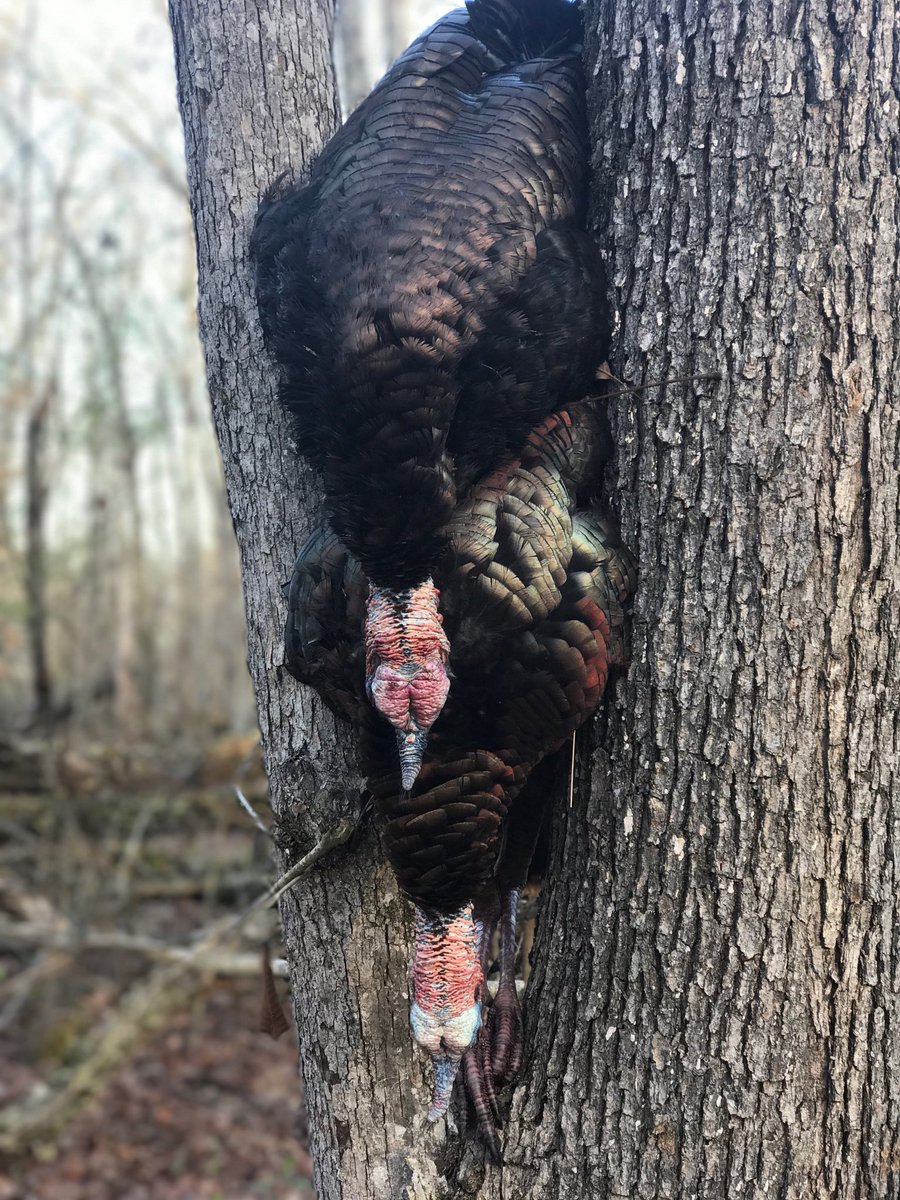 Stack em up. #powkeepsi #wtr17