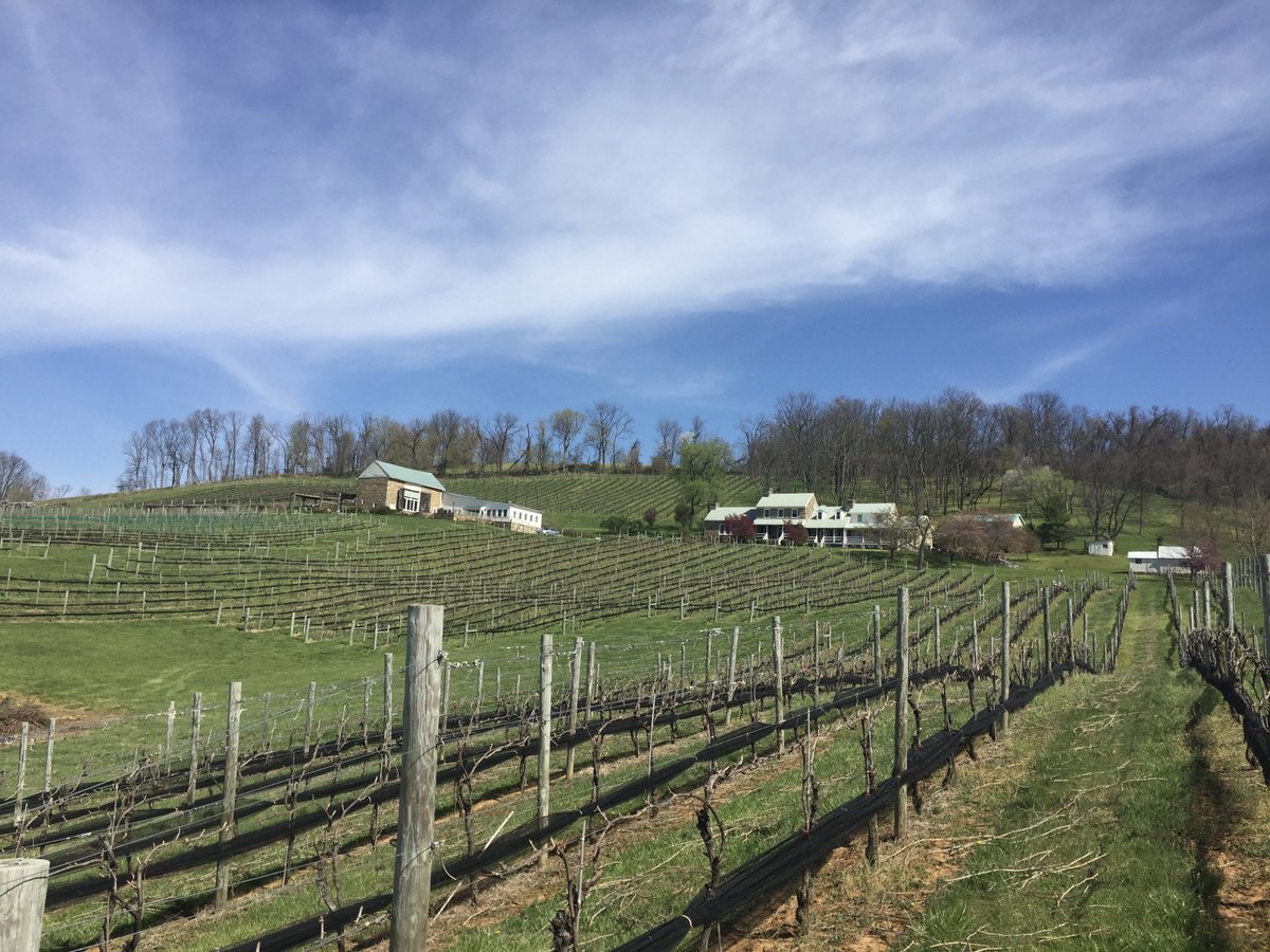 Media Tweets by Hillsborough Wines (HillsboroWine) Twitter