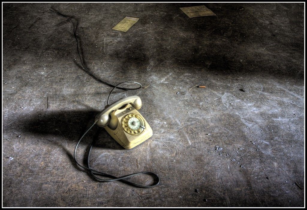 Awl's tweet image. Dial D for Dolphin buff.ly/2pa9Yjx