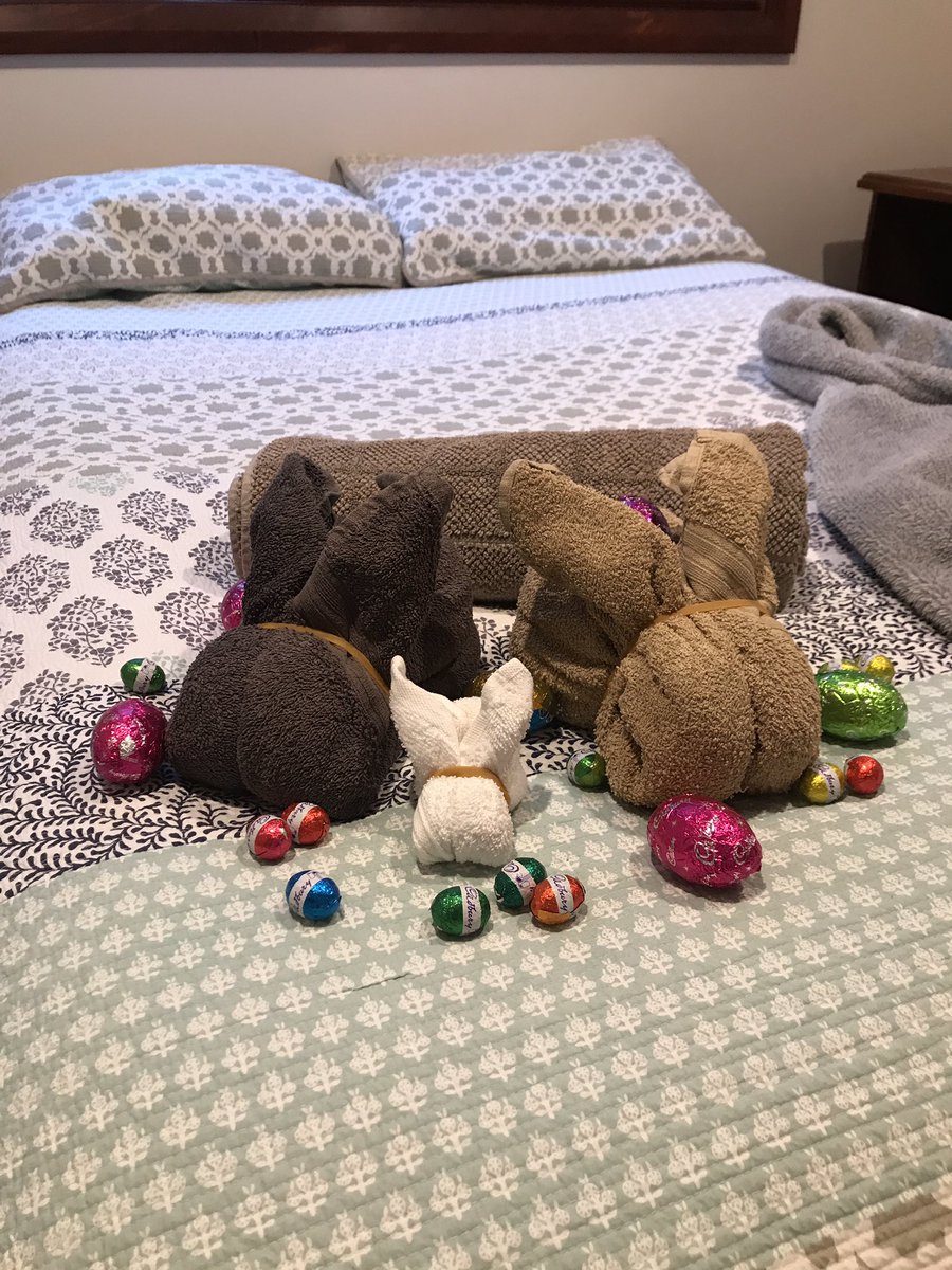 abby_needs's tweet image. Towel bunnies and #Cadbury eggs for our Easter guests #Easter #chocolateeggs