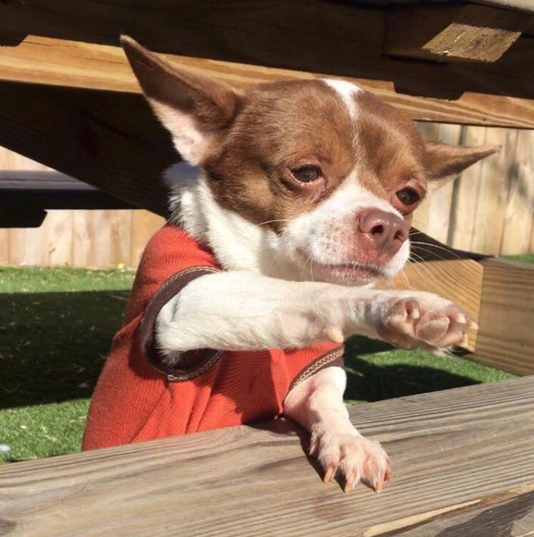 Cuando alguien llega antes que yo y le dan los últimos tamales...