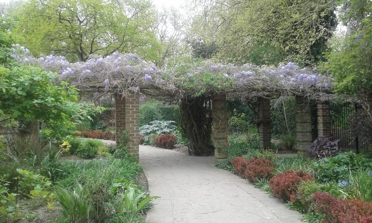 #AdaSalter garden #Southwarkpark looking stunning today.@WISE16 @WorgInfo @EdibleAvondale