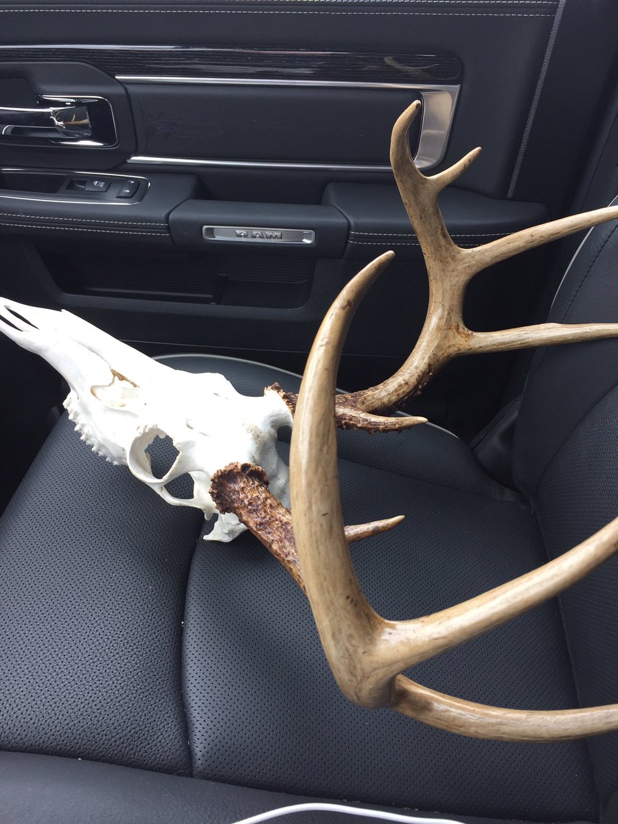 Riding shot gun with an old friend #beretta