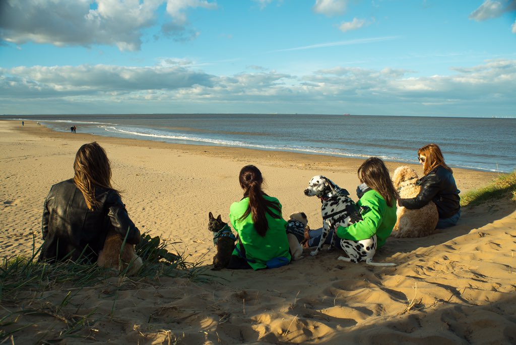HavenHelen's tweet photo. Amazing day filming @JerryGreenDogs for #BarkLife I 'canine' believe the luck with the weather 🌞 #BestDayEver @haven #rescuedogs https://t.co/MpdjrhGY7r