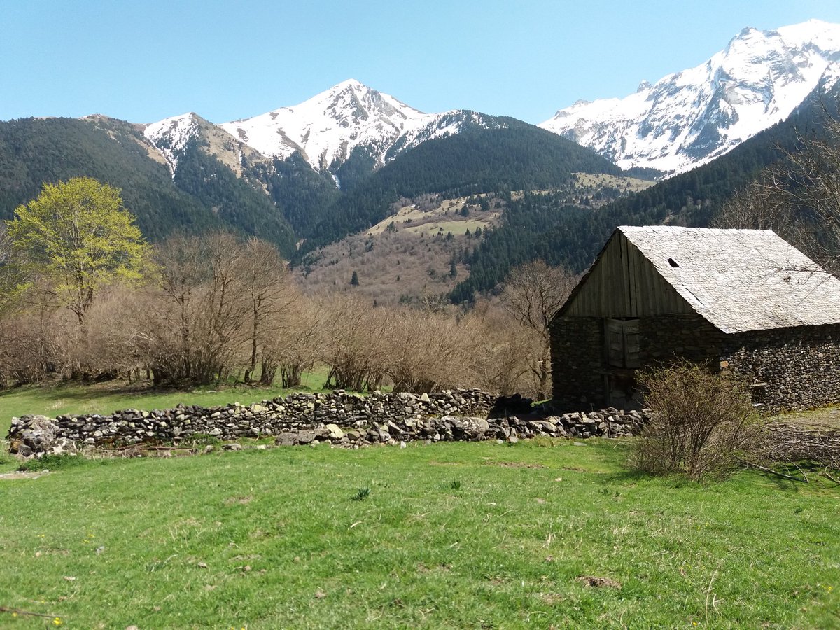 pyreneestours's tweet photo. Another great landscape!!

https://t.co/QGjO9aJlfo

#Aran #travel #wanderlust https://t.co/4FWre775nF