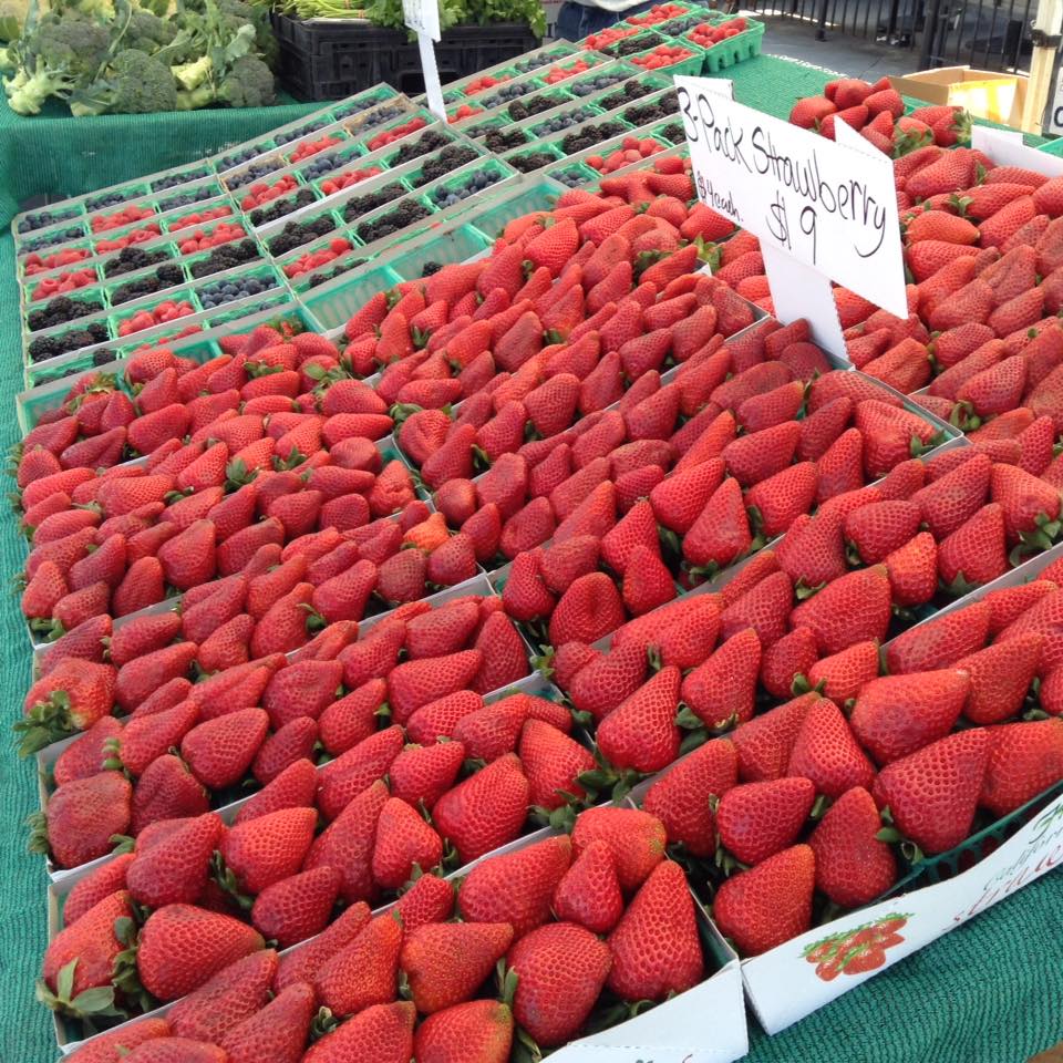 HermosaChamber's tweet photo. Enjoy a beautiful afternoon at the #HermosaBeach #FarmersMarket at Pier Plaza until 4pm! New hours starting April 19 from 1-6pm! #HBCCVB https://t.co/3vvIEYjlEk