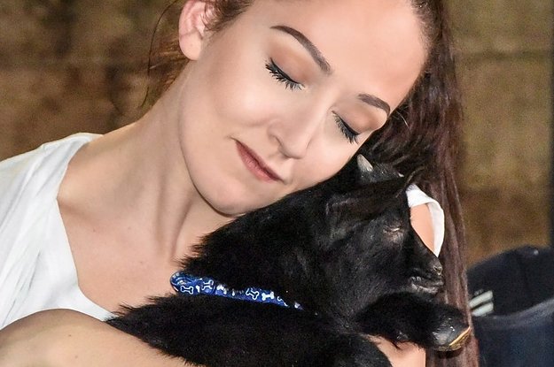 BuzzFeed's tweet photo. You can do yoga with goats now and it's the cutest damn thing https://t.co/QXSlpirMnw https://t.co/hBs2lQ7Sop