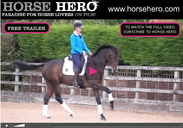 willanewton's tweet photo. Advanced training tips featuring Neelix @horsehero #Noblerider #TeamDevoucoux @nafuk #horsemanship #eventing https://t.co/IR3EI2S0Pf https://t.co/g5swdww6I6