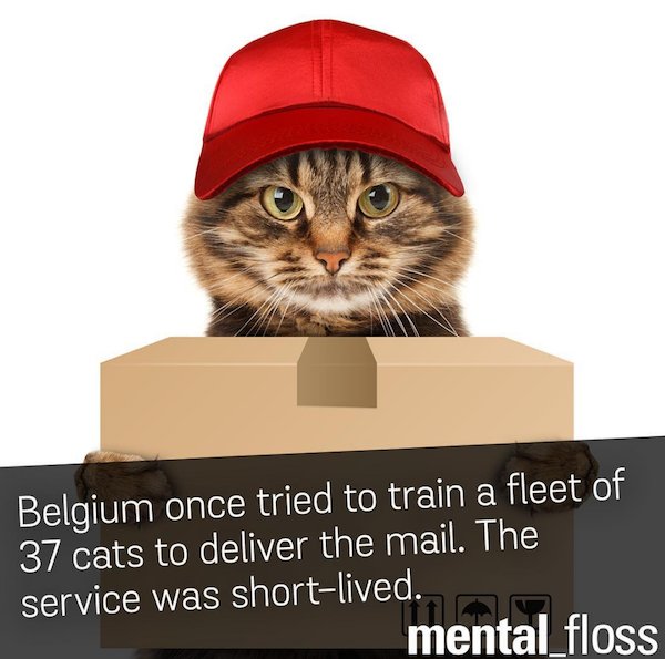 mental_floss's tweet photo. https://t.co/RFpvkYWrEe