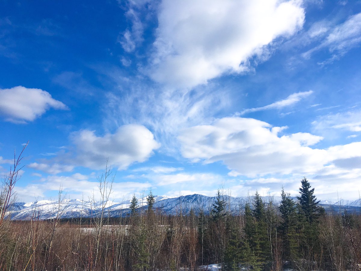 Cherisha Bryant tweet media