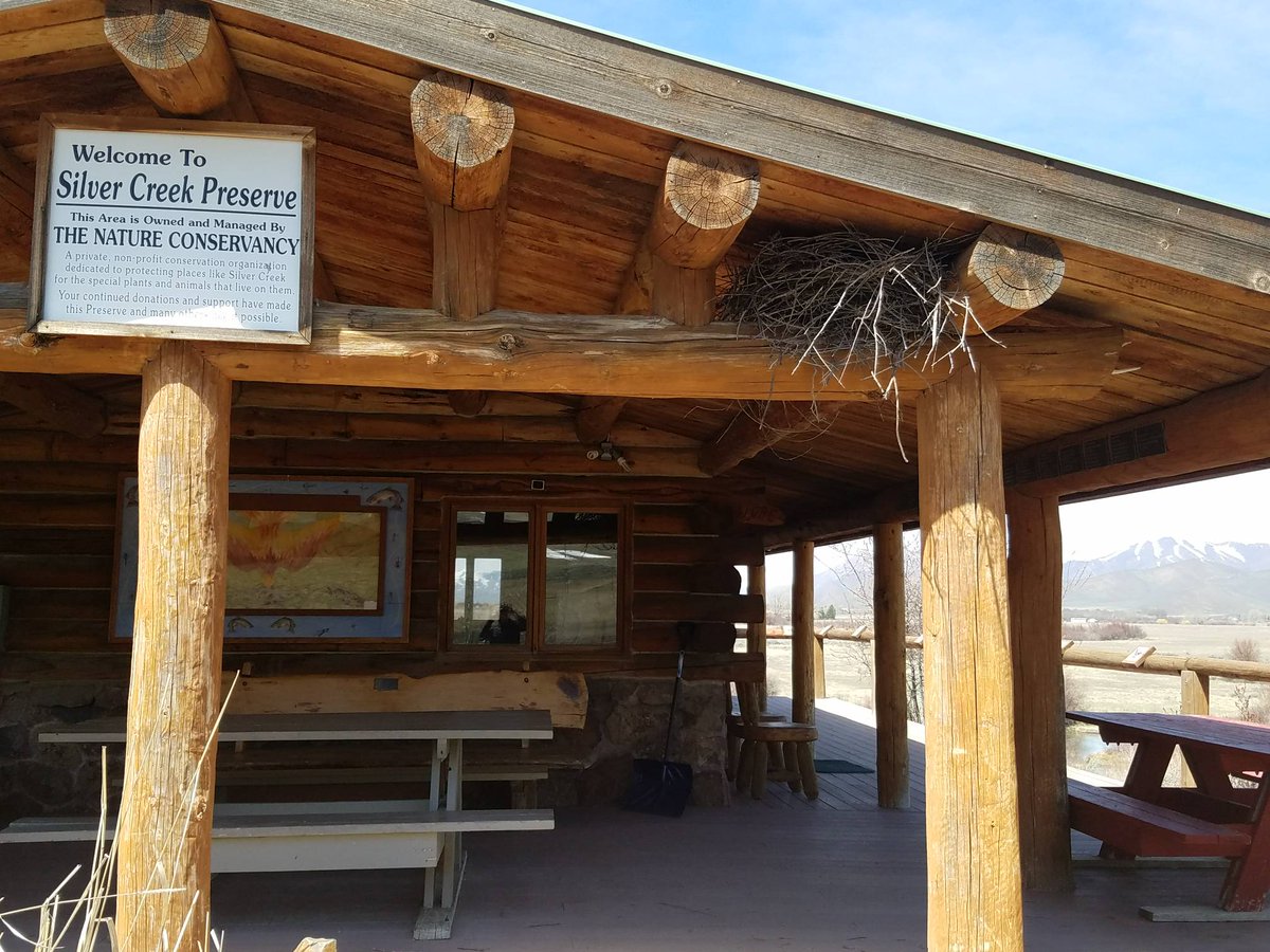 PicaboAngler's tweet photo. The birds in Idaho take the "Welcome" signs quite literally! #springhassprung #Picabo #picaboangler #silvercreekidaho https://t.co/MW66RzJnqS